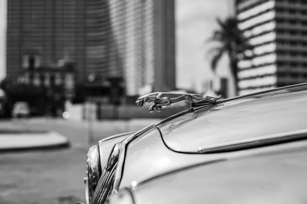 ウォレスベット カジノ Android/iOS アプリ